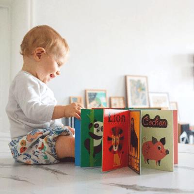 Livres bébés, de la naissance à 18 mois - Les livres pour enfants par  Graffiti – Balises age: Dès 18 mois– GRAFFITI