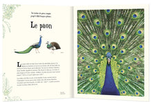 Charger l&#39;image dans la galerie, Anthologie illustrée des animaux fascinants-3-Auzou-Les livres sur l&#39;écologie pour enfants