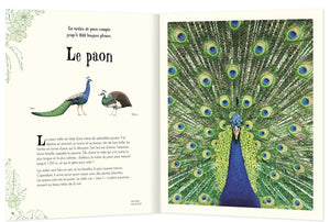Anthologie illustrée des animaux fascinants-3-Auzou-Les livres sur l'écologie pour enfants