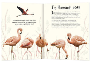 Anthologie illustrée des animaux fascinants-4-Auzou-Les livres sur l'écologie pour enfants