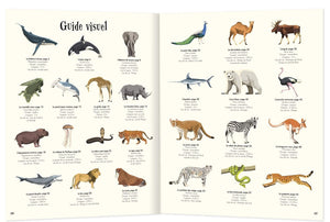Anthologie illustrée des animaux fascinants-5-Auzou-Les livres sur l'écologie pour enfants