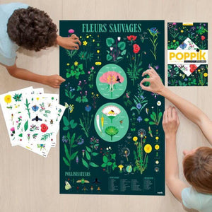 Poster et gommettes - Poster pédagogique et 72 stickers Botanique - Poppik
