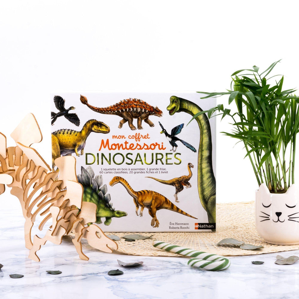 Mon coffret Montessori dinosaures - Dès 5 ans