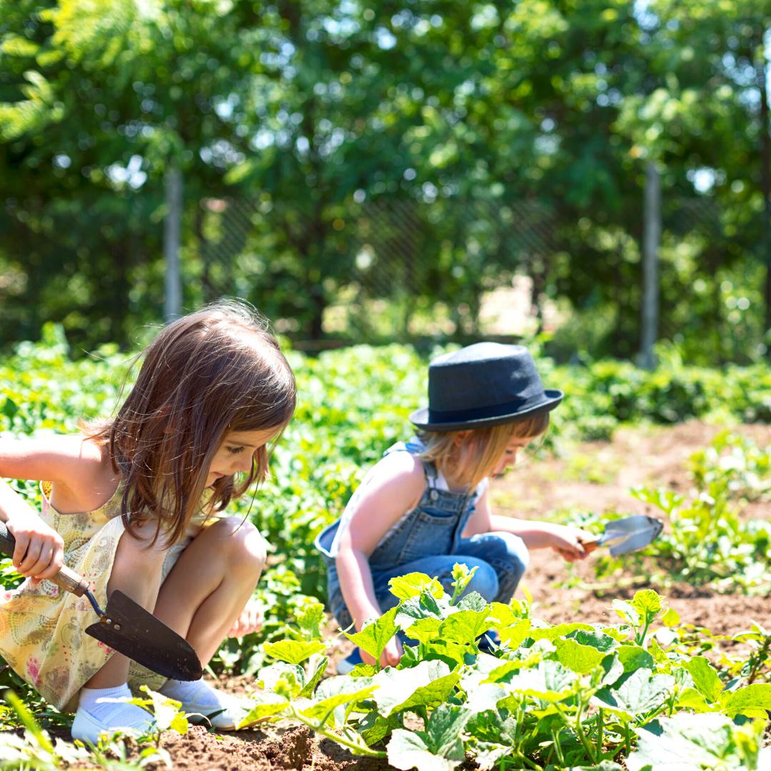 Jardinage en famille : Créer un potager avec les enfants