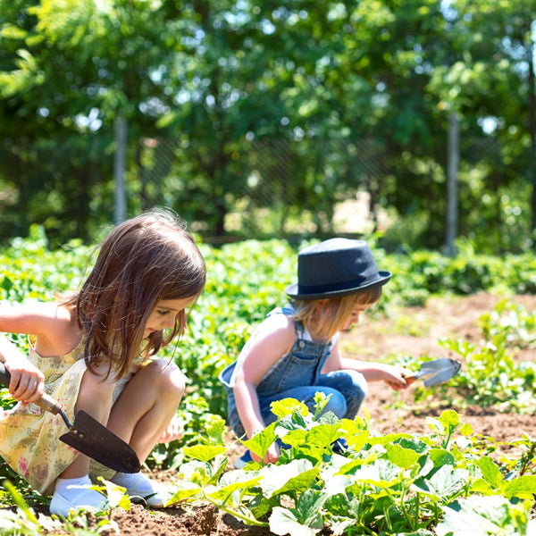 Jardinage en famille : Créer un potager avec les enfants