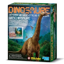 Charger l&#39;image dans la galerie, Kit de paléontologie - Dinosaure Brachiosaure - 4M