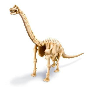 Kit de paléontologie - Dinosaure Brachiosaure - 4M