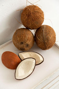 Coco la noix de coco de dentition-3-Oli & Carol-Nos idées cadeaux pour enfant à chaque âge