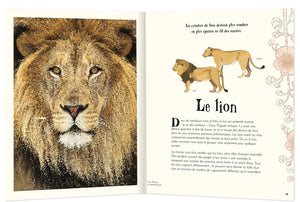 Anthologie illustrée des animaux fascinants-2-Auzou-Les livres sur l'écologie pour enfants