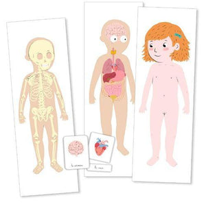 Mes cartes du corps humain Montessori - Une pochette pour 3 ans et + - GRAFFITI