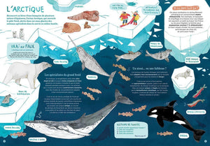 Océans ... et comment les sauver?-3-Sarbacane-Les livres sur l'écologie pour enfants
