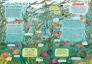 Océans ... et comment les sauver?-5-Sarbacane-Les livres sur l'écologie pour enfants