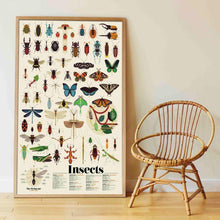 Charger l&#39;image dans la galerie, Poster en cadre - Poster pédagogique et 44 stickers - Insectes - Poppik