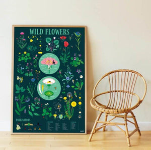 Cadre - Poster pédagogique et 72 stickers Botanique - Poppik