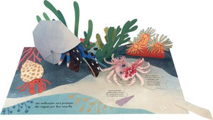 Trésors de l'océan-3-Kimane-Les livres sur l'écologie pour enfants