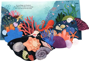 Trésors de l'océan-4-Kimane-Les livres sur l'écologie pour enfants