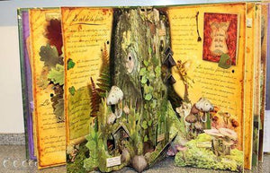 A la recherche des Fées des fleurs-3-Gründ-Les livres pour les enfants de 6 ans et plus