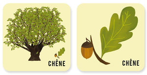 Mémory - L'arbre et sa feuille-3-Pirouette Cacahouète-Nos idées cadeaux pour enfant à chaque âge