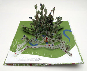 Dans la forêt du paresseux-2-Hélium-Les livres sur l'écologie pour enfants