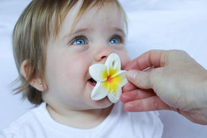 Bébé fille avec Mini anneau de dentition Fleur Hawaii - Chewy to go - Oli and Carol