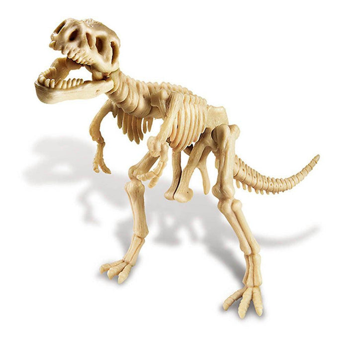 Kit de paléontologie - Dinosaure Tyrannosaurus Rex
