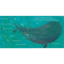 Charger l&#39;image dans la galerie, La baleine qui voulait voir la mer - Livre pour enfant de 2 ans et + - Editions Kimane - aperçu page 2
