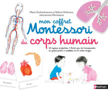 Charger l&#39;image dans la galerie, Mon Coffret Montessori du corps humain-6-Nathan-Les livres Montessori pour enfants