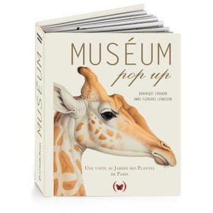 Museum pop up - Les Grandes Personnes - Livre pour les enfants à partir de 6 ans