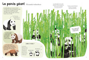 Le paresseux : Collectif - 2070645894 - Les documentaires dès 6 ans -  Livres pour enfants dès 6 ans
