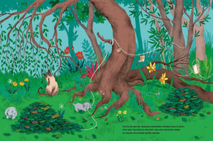 Suivez le guide! Aventure en forêt-3-Casterman-Les livres pour les enfants de 3 ans