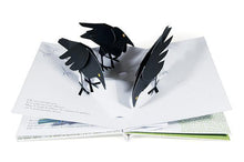 Charger l'image dans la galerie, La noisette - Les Grandes Personnes - Un livre à partir de 3 ans-4