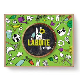 Les boîtes écologie de Graffiti Les boîtes écologie de Graffiti